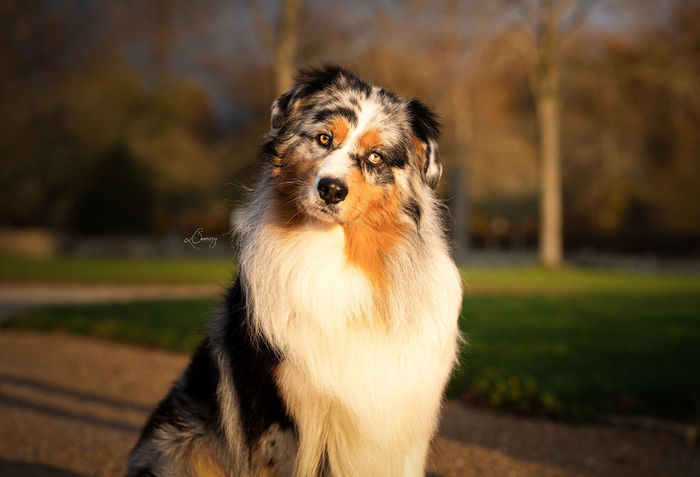 Rock under pressure Of Moonlight Blue